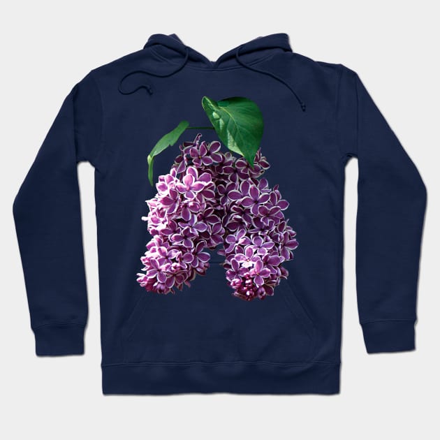 Lilacs - Two-Toned Lilacs Hoodie by SusanSavad